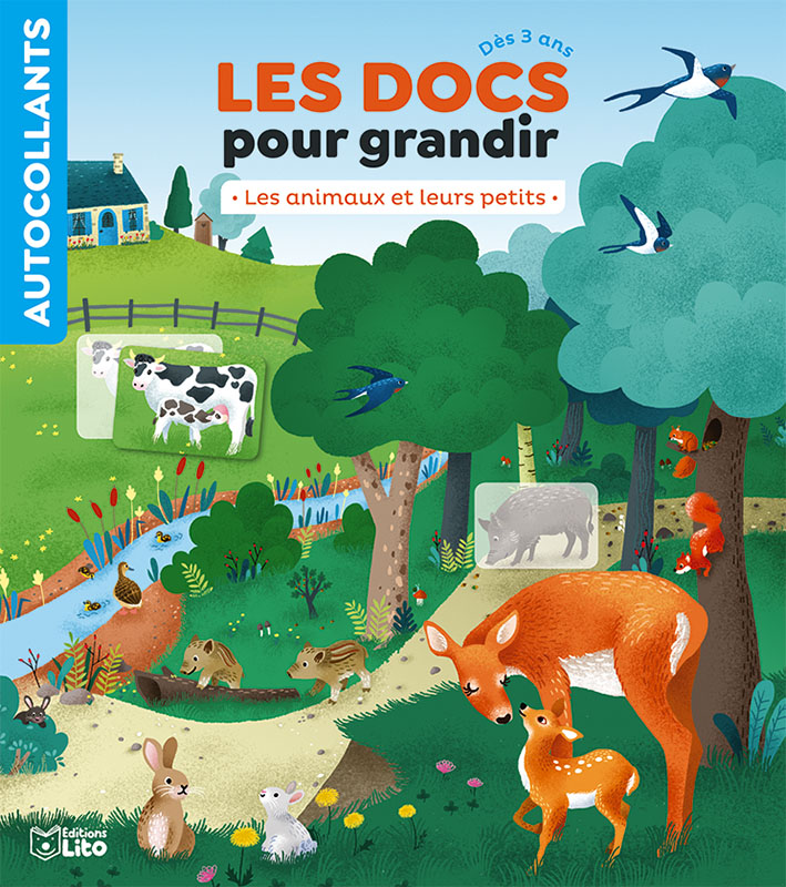 Le Zoo Gommettes pour les Petites Mains 18 mois Éditions Lito : Livres pour  enfants ÉDITIONS LITO maison - botanic®